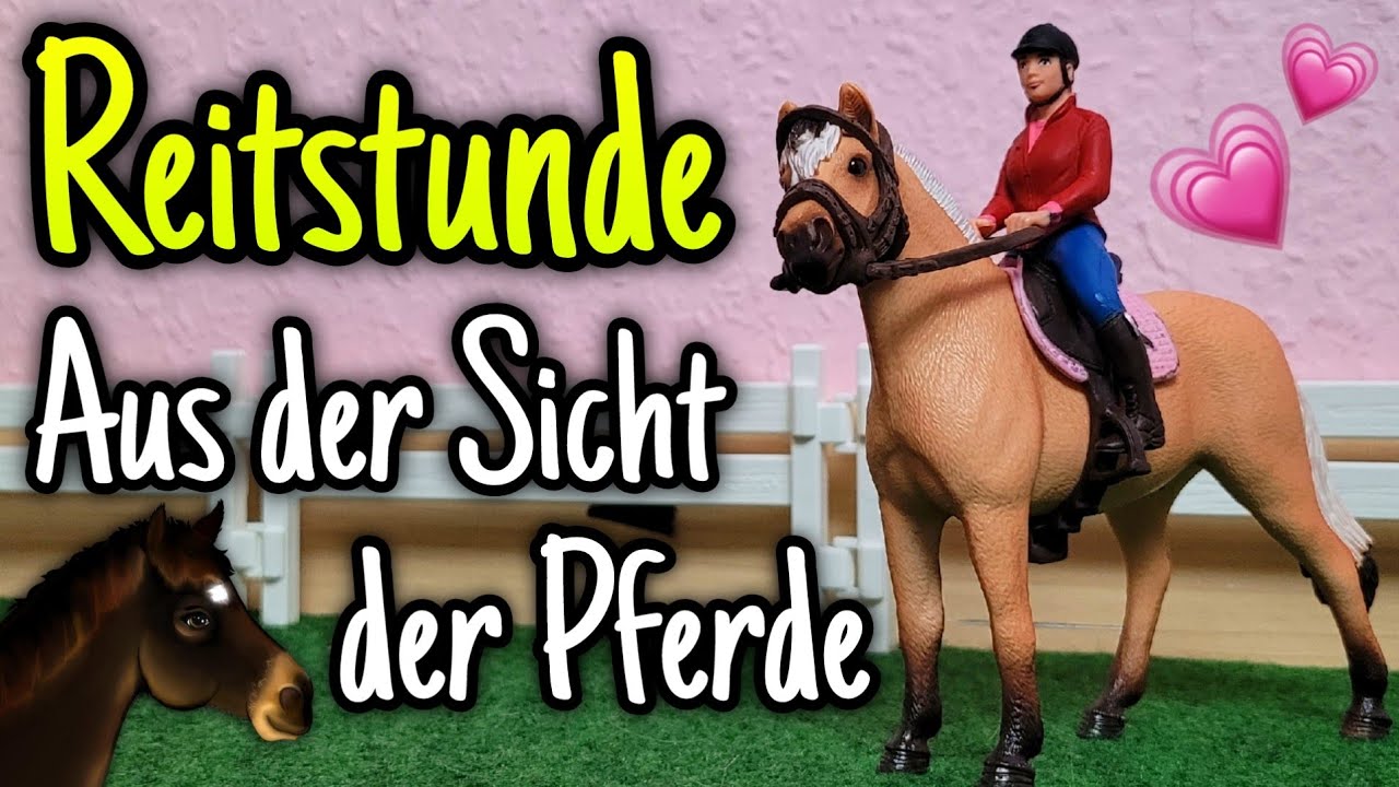 Reitstunde aus der Sicht der Pferde 👀🐴 | Reitunterricht #3