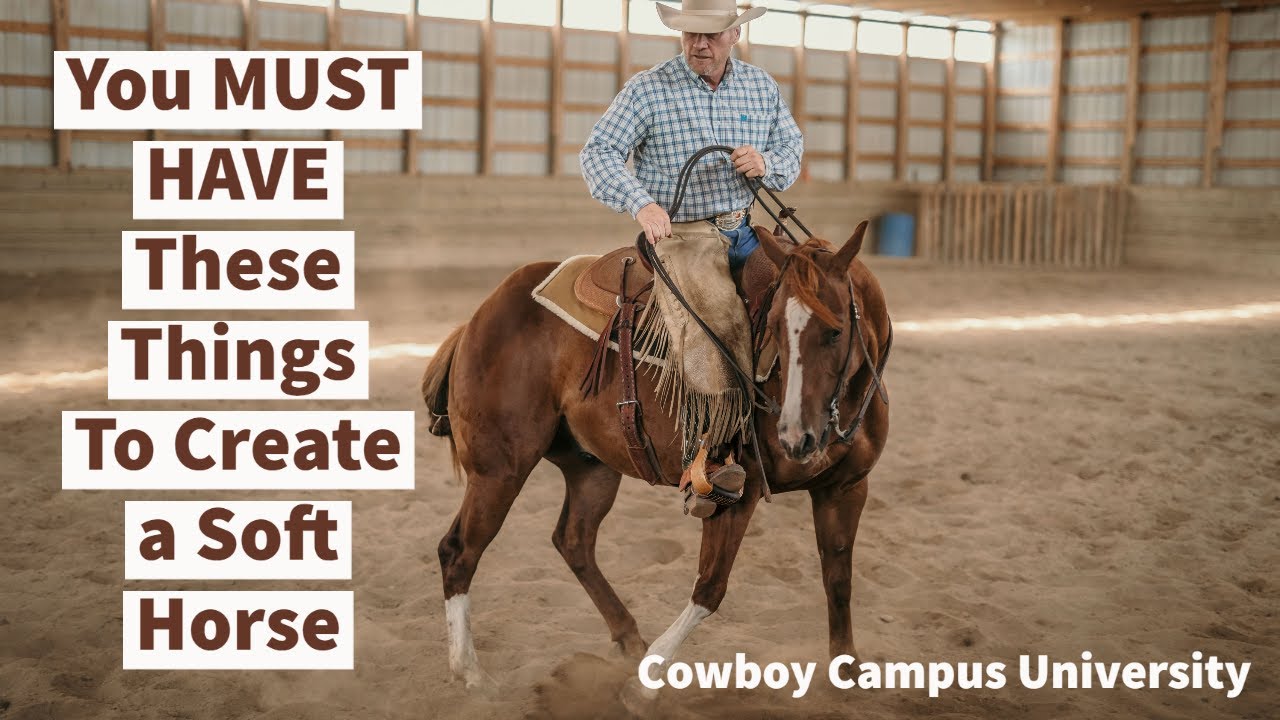 The Essentials For Creating a Soft Horse