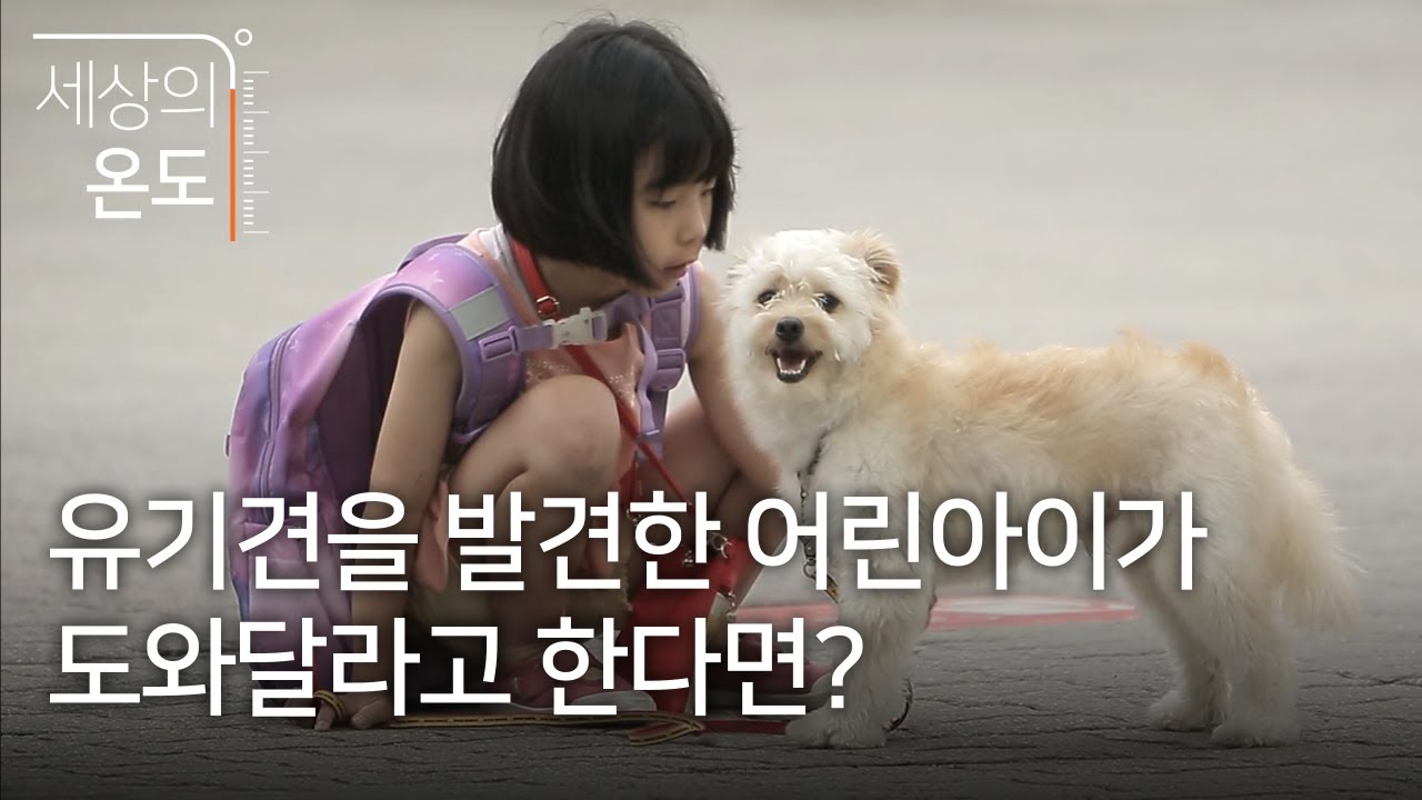 유기견을 발견한 어린아이가 도와달라고 한다면?강아지 귀여운데 불쌍해 ㅠㅠ | 세상의 온도 |