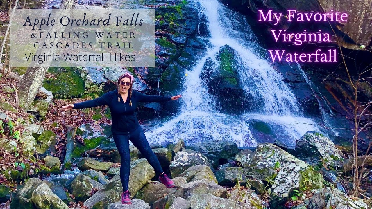 Favorite Virginia Waterfall - Apple Orchard Falls & Fallingwater Cascades