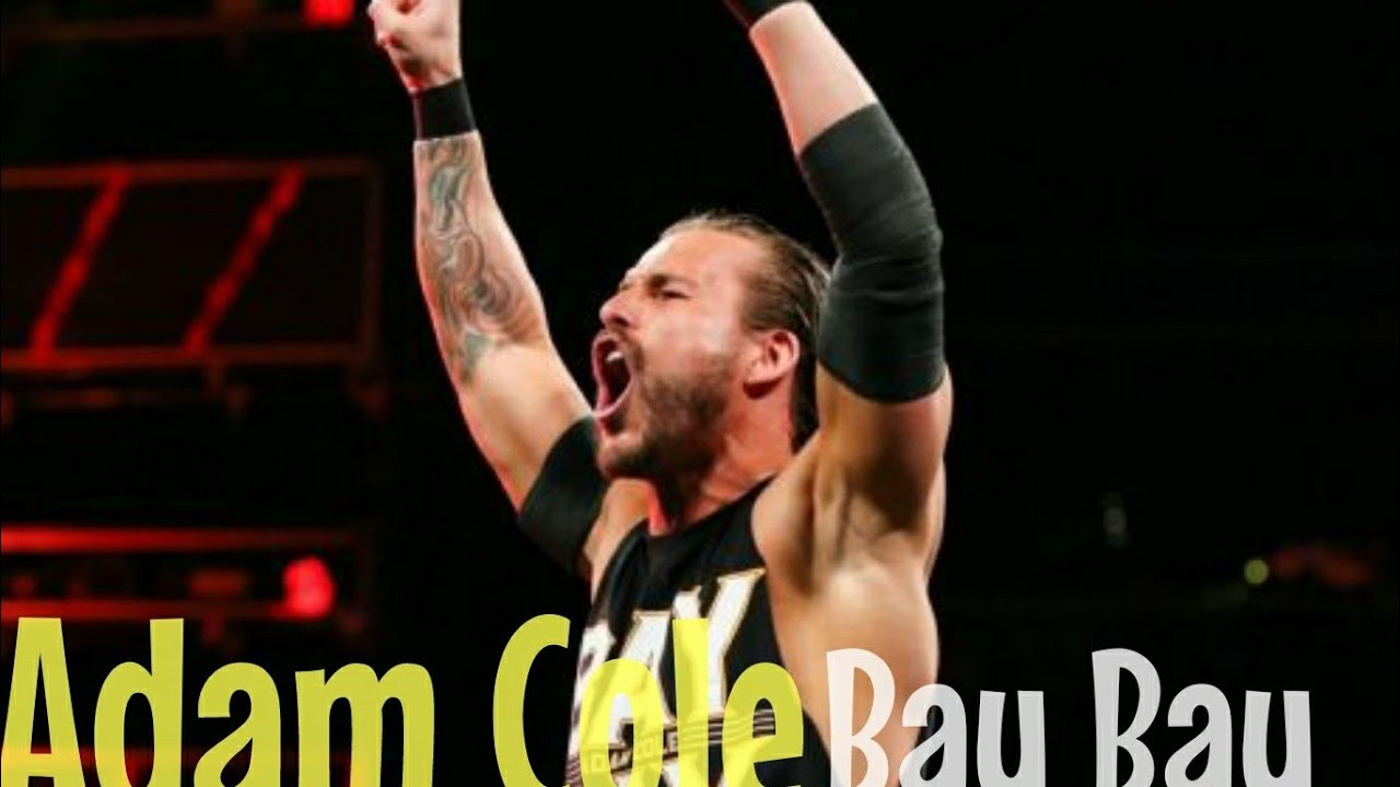 Adam Cole Bay Bay Compilation