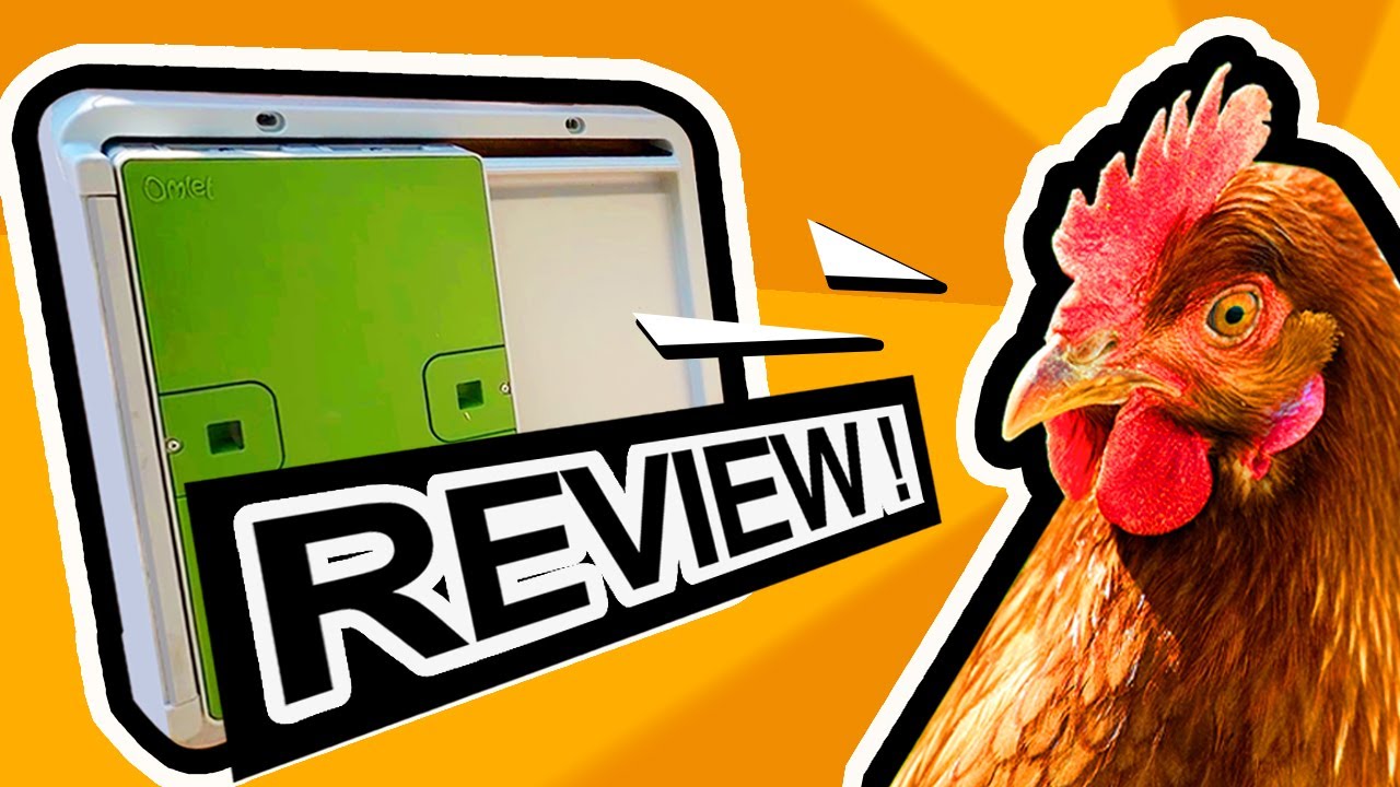 HURT CHICKEN OR NOT?! | HONEST REVIEW | OMLET AUTOMATIC COOP DOOR | UNBOXING, INSTALLING AND TESTING