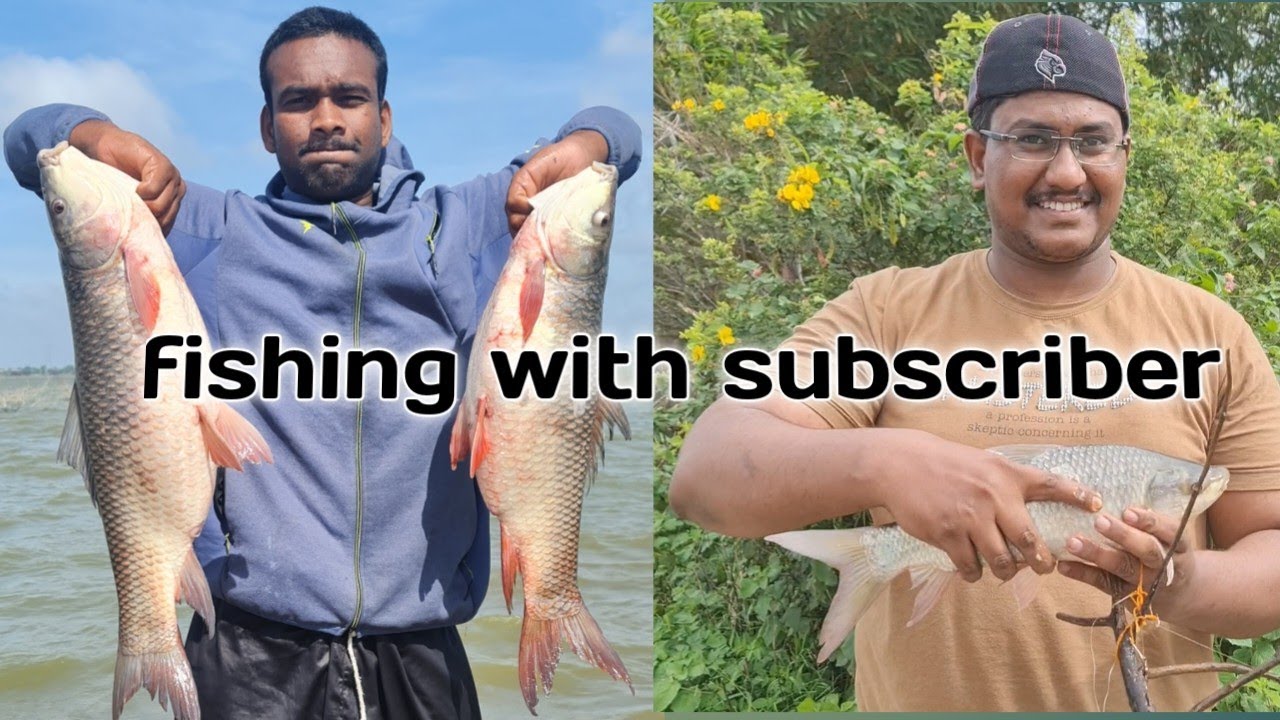 fishing in himayat sagar || rohu and mirgel fish || Grass carp || #FF4
