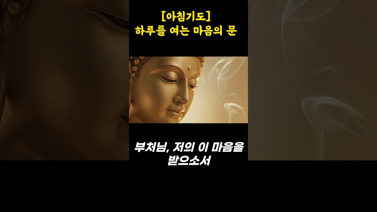 [아침 기도문🙏] 하루를 여는 부처님 기도 #소원성취기도 #부처님가르침 #부처님말씀 #아침기도 #아침묵상 #스님법문 #스님말씀 #좋은글귀 #명언 #좋은글