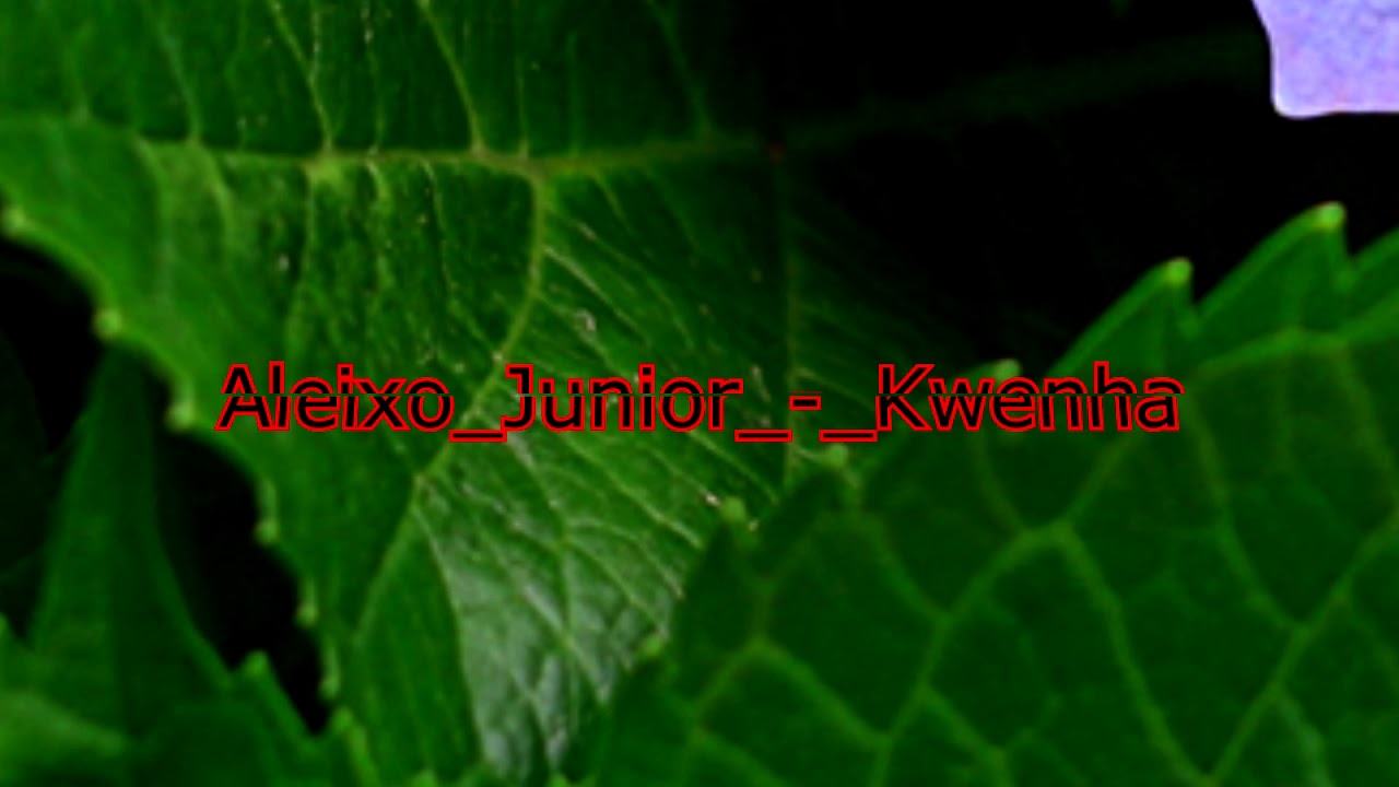 Aleixo Junior   Kwenha