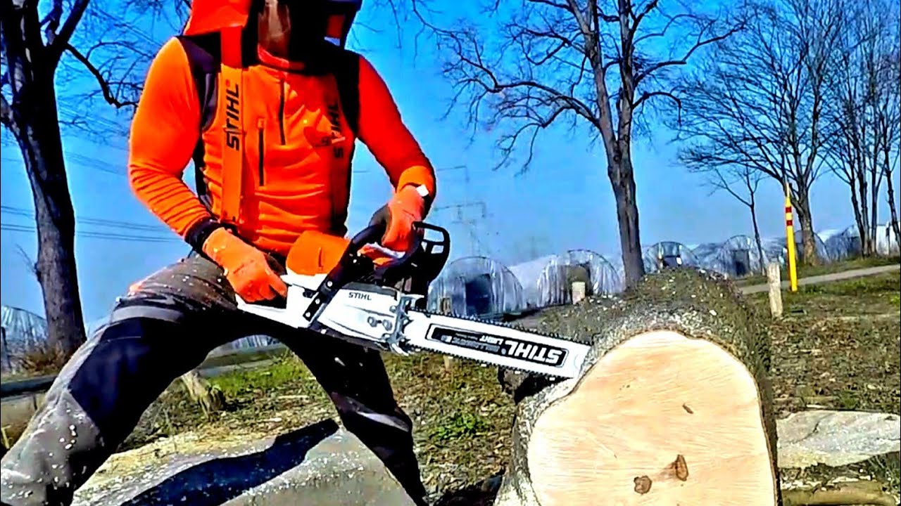Husqvarna 550 XP Mk2 | 45cm | Starkholz Buche Esche | Stihl MS 462 45cm - 50cm | Polder