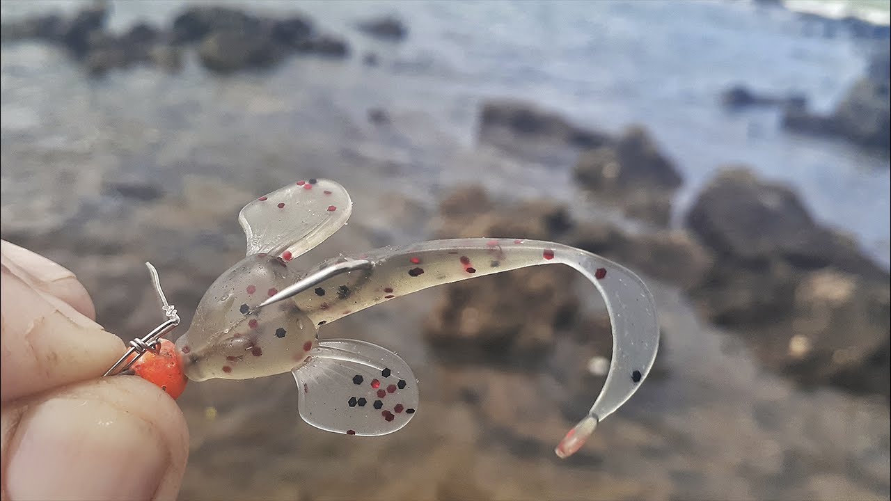 ISCA artificial  bem estranha usei na beira da praia nas pedras pescando ultralight