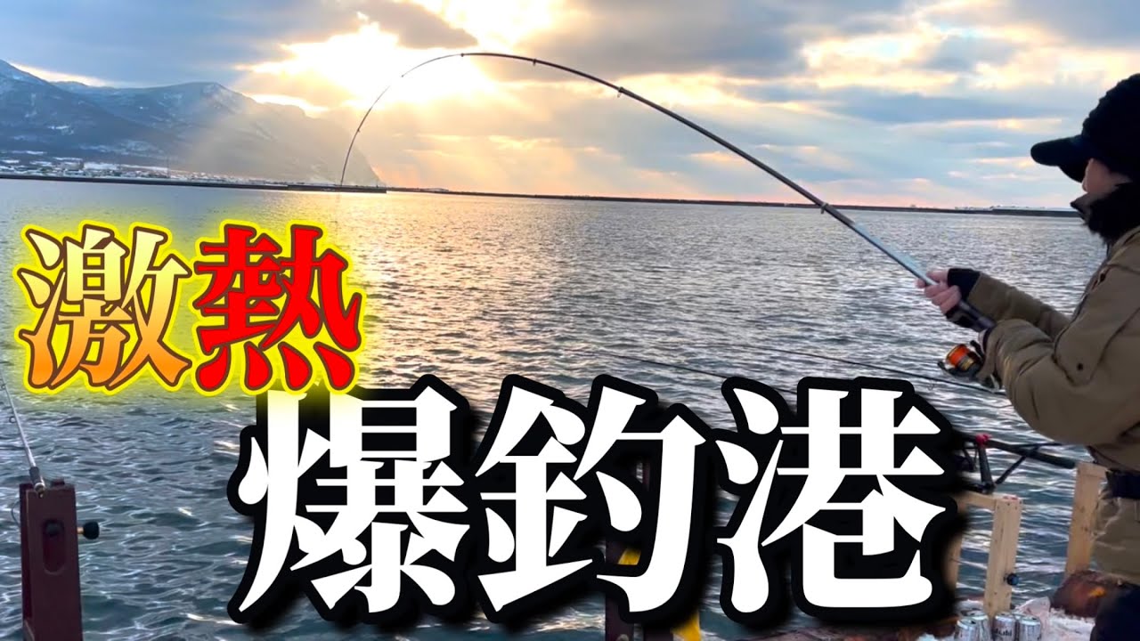 【北海道】【釣り】激熱タイムにホッケ（𩸽）爆釣！下針の極意炸裂！
