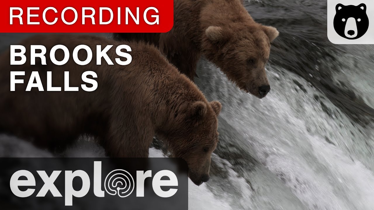 Brooks Falls - Katmai National Park, Alaska powered by EXPLORE.org