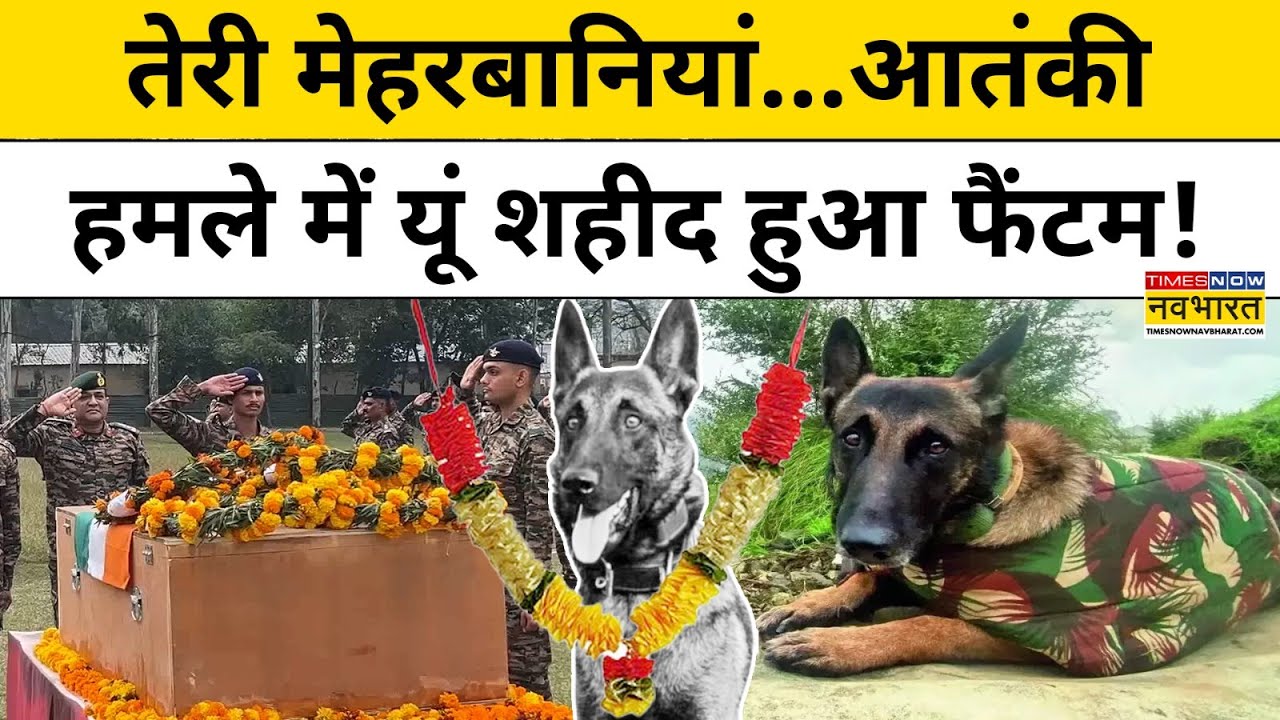 Akhnoor Encounter में शहीद Indian Army के Dog Phantom की पूरी कहानी जानिए!| J&K News | Hindi News