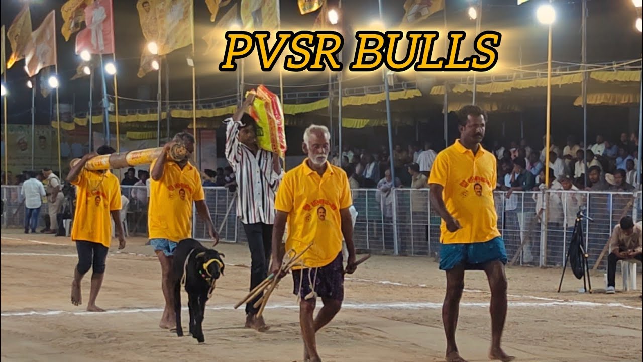 చిలకలూరిపేట సబ్ జూనియర్స్ 6వ PVSR BULLS బల్లికురవ గ్రామం బాపట్ల జిల్లా..