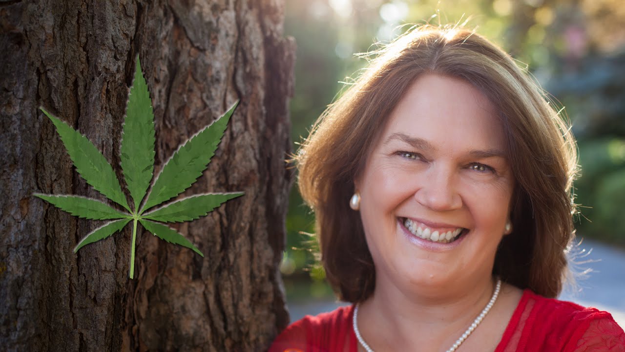 Legal Cannabis Coming in 2017: Health Minister