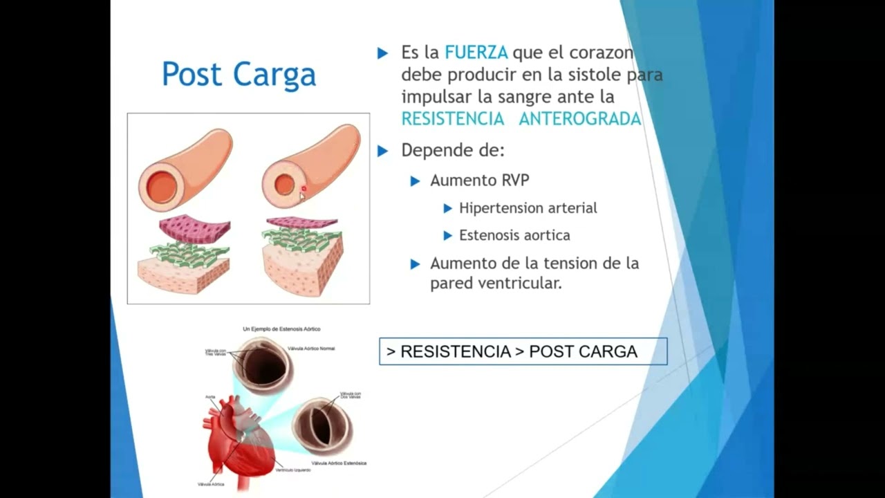 Fisiopatología - Shock 1/1