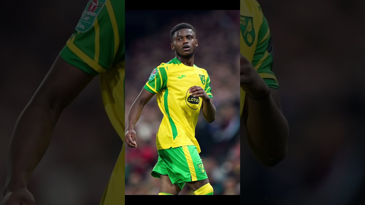 My Plymouth V Norwich Score Predictions ⚽️ 💚 #football #footballpredictions #championship