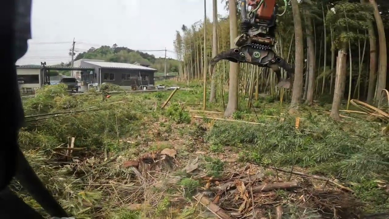 チルトローテータで伐採作業💚🖤
