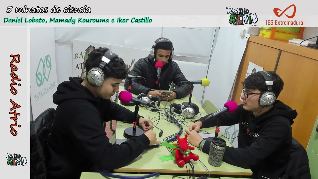 5 minutos de ciencia: Ciclo celular