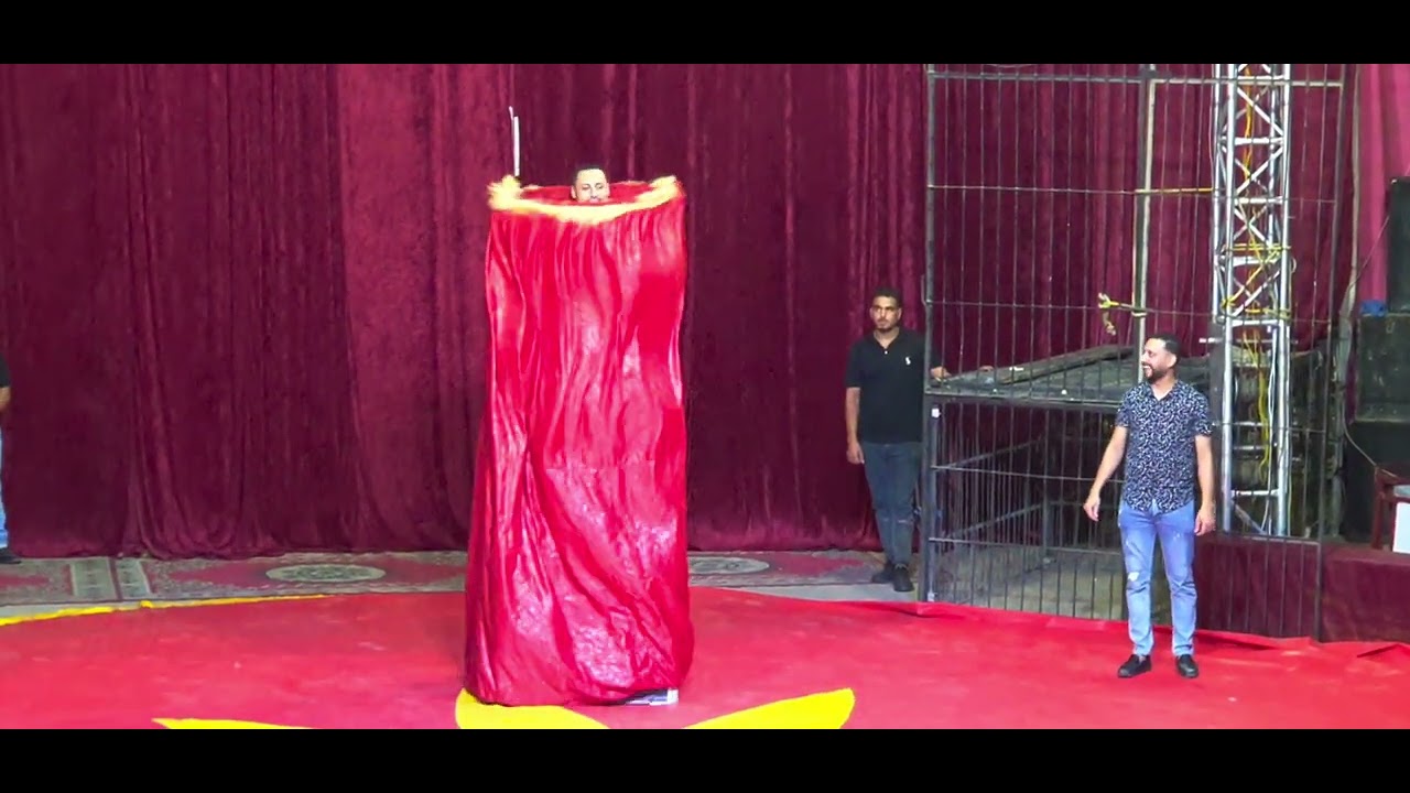 السيرك المصري الإيطالي..الإسكندرية معرض ارض كوته