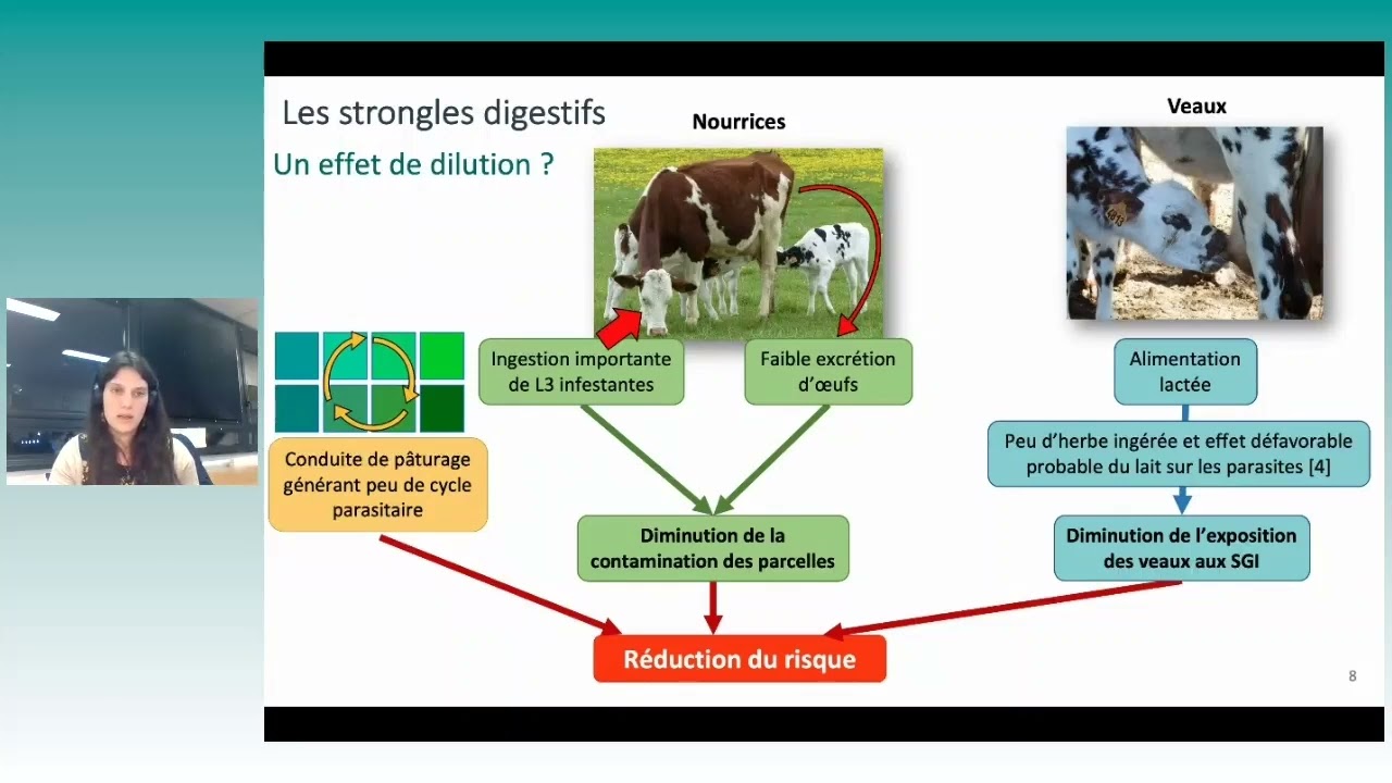 Conférence - Parasitisme et performances zootechniques des veaux laitiers...