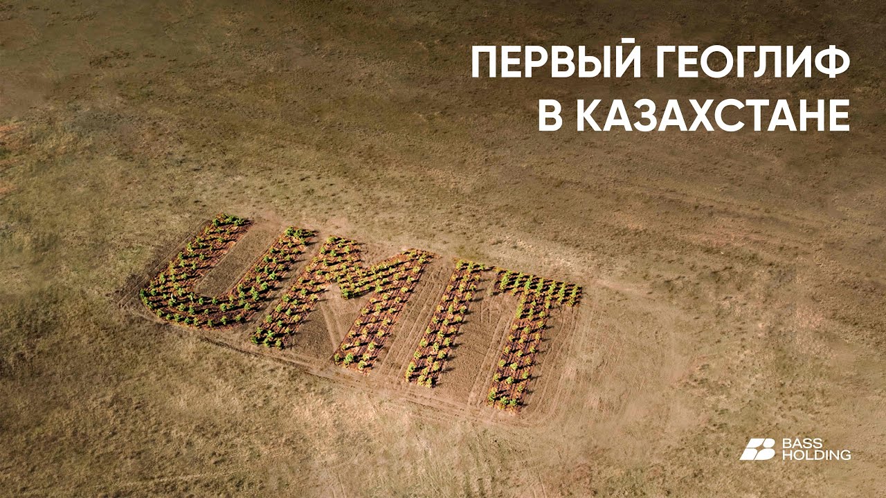 UMIT - Социальный проект Bass Holding