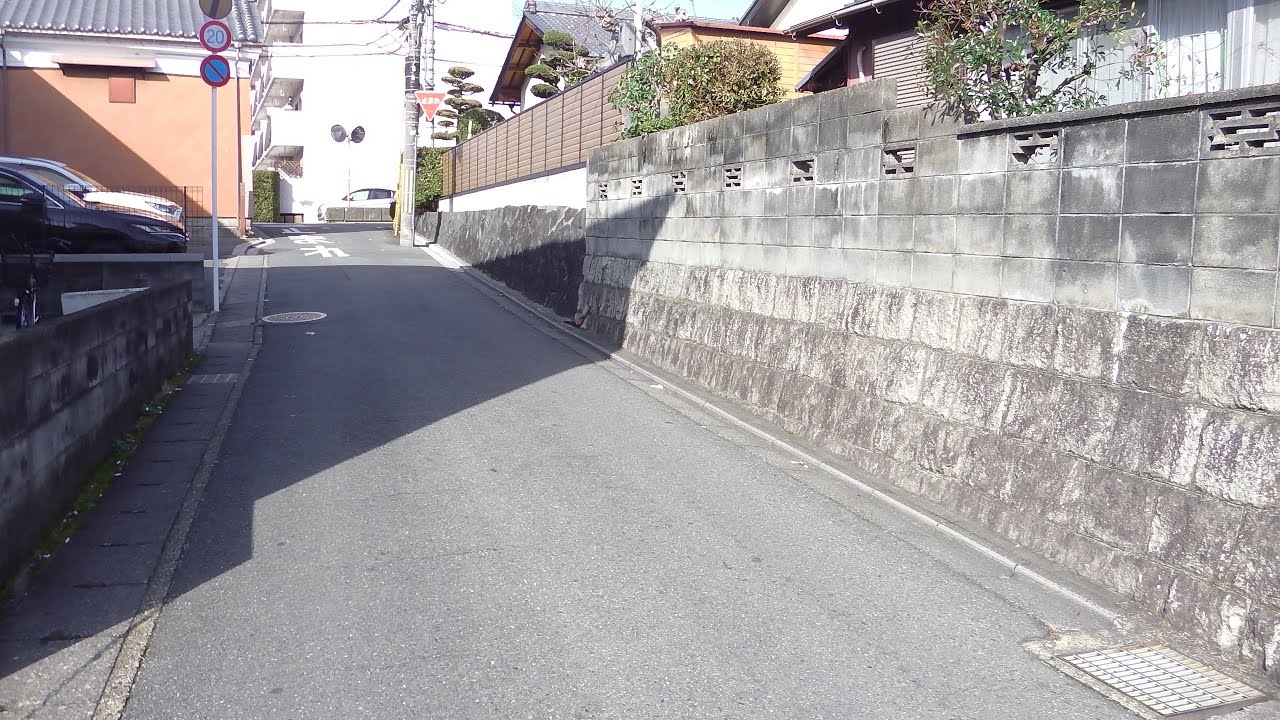 京都伏見/巨椋池/大和街道「太閤堤」2026年３月１日べた撮り