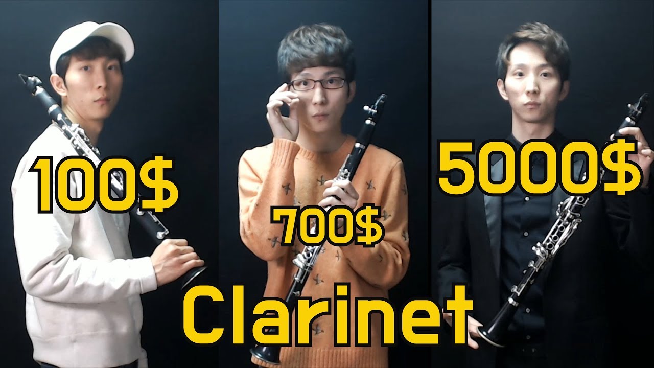 100$ VS.5000$ Clarinet ㅣ10만원 VS 500만원 클라리넷 비교(신수호 클라리넷)