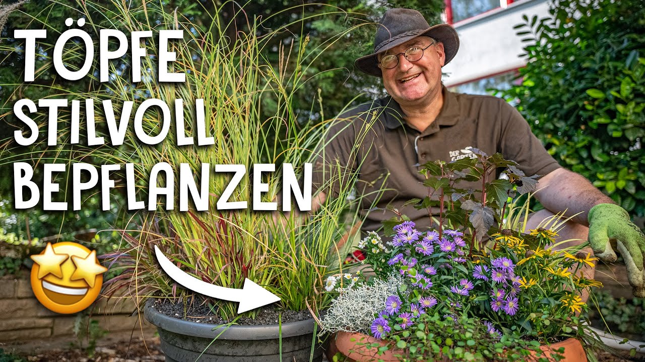 Herbstliche Bepflanzung für Garten & Balkon! 🌸 - Diese Pflanzen & Gräser solltest du kombinieren