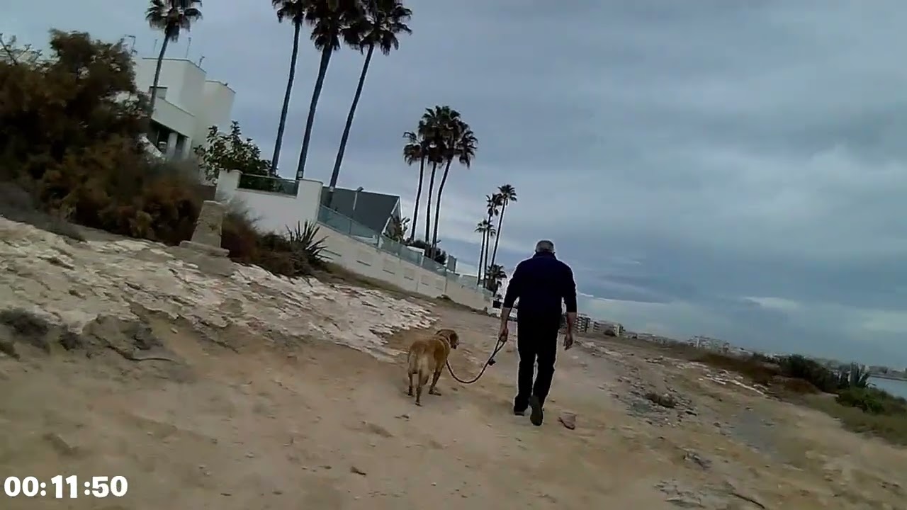 RUTA #52 MTB EN ALICANTE (ESPAÑA) Para verlo mientras haces tu deporte en casa