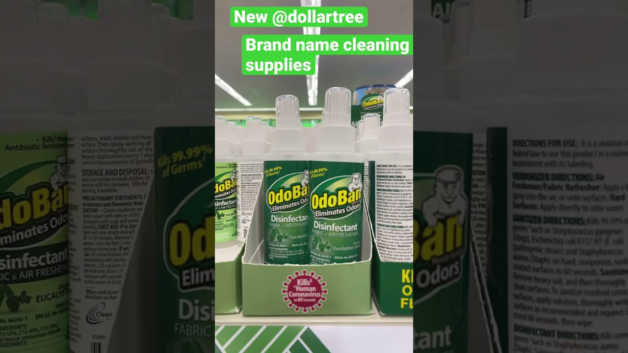 NEW BRAND NAME CLEANING PRODUCTS #dthaul #dollartree #dollartreecommunity #DTfinds April 10, 2023