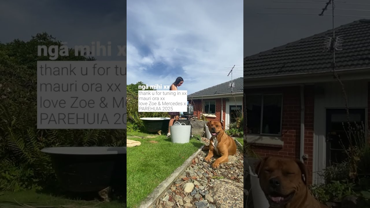 Harakeke weavers guide: Preparing, Boiling , Dying flax for future use: Kete, Pikau, Muka xx