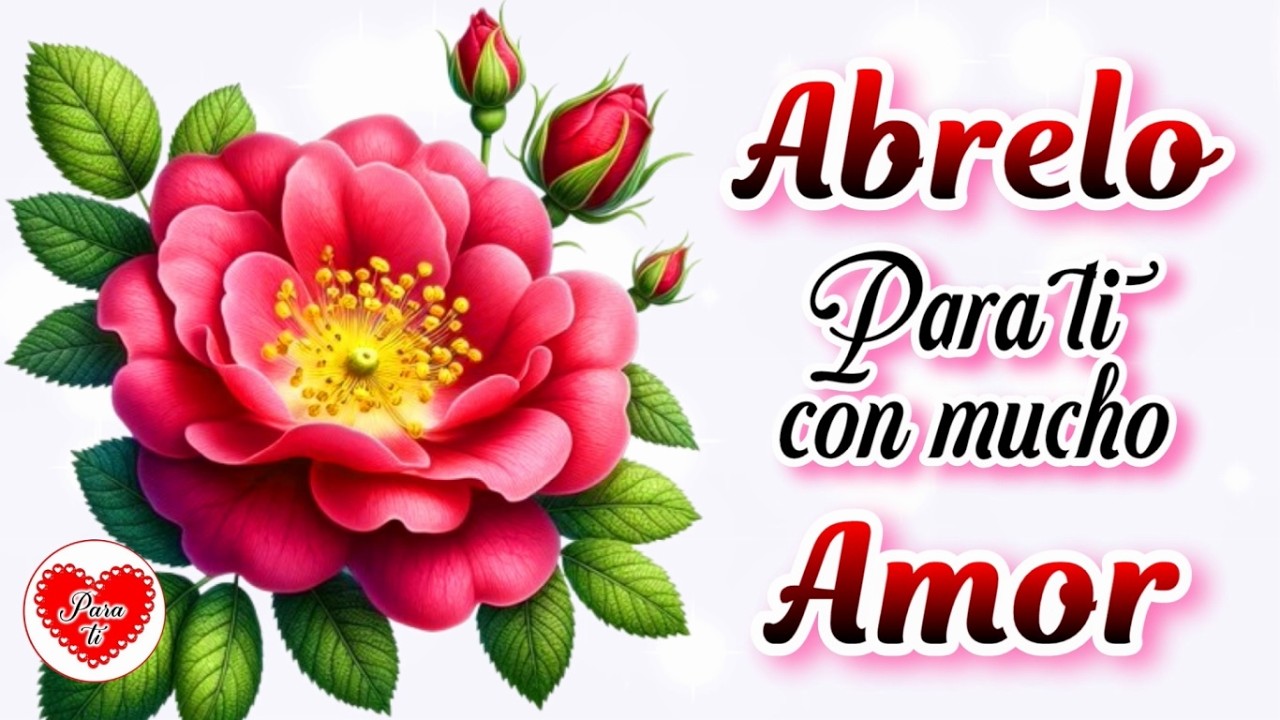 Abrelo Para ti con Mucho AMOR Un lindo video que CAMBIARÁ TU DÍA