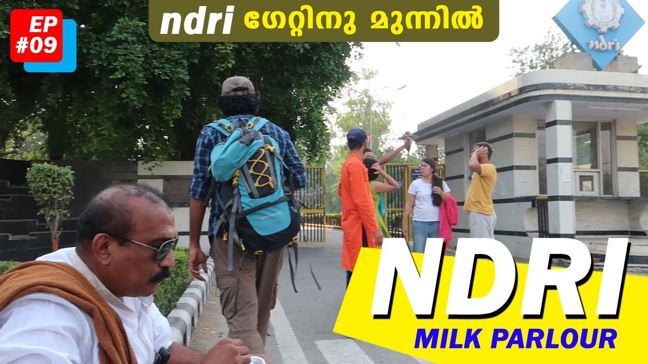 EP-9 NDRI Haryana KARNAL | Famous milk parlour | 😱 രുചികരമായ പാൽ ഉൽപ്പന്നങ്ങൾ🤤😋 #haryana_round_up