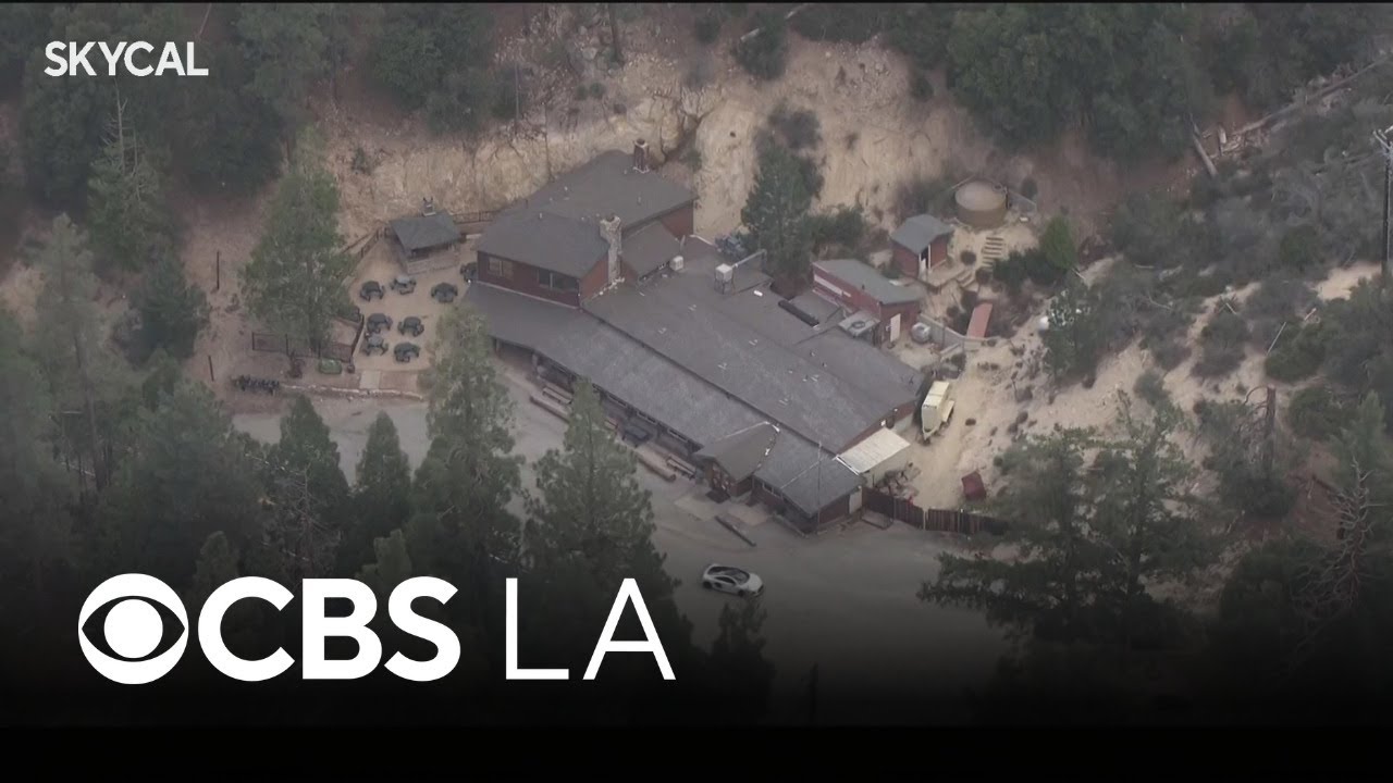 Newcomb's Ranch | Look At This!