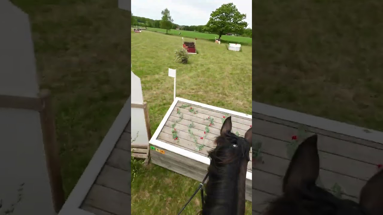 Pontus Hugosson Hot Ninetta CCN3*-S Hermanstorp 2025