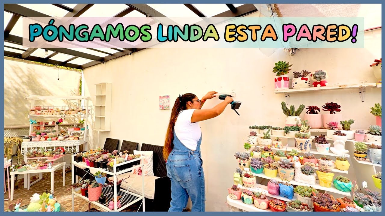 TRANSFORMO UNA PARDE DE MI JARDIN | FONDO CON SUCULENTAS Y DETALLES HERMOSO
