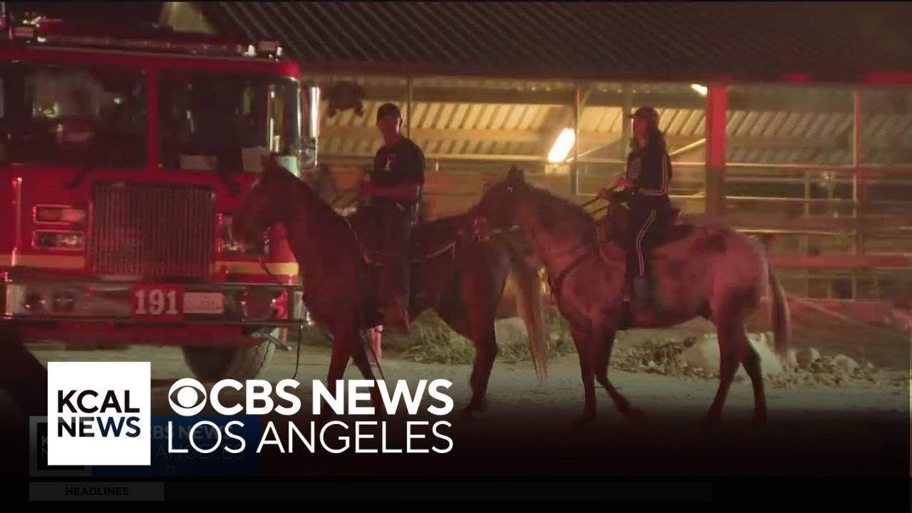 Horses endangered when brush fire sparks in Hacienda Heights