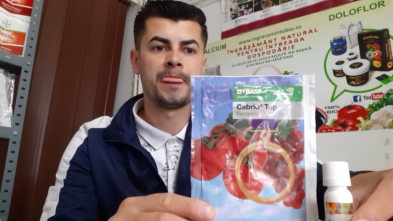 Stropirea nr.2 la rosii ,castraveti si ardei in solarii si gradina 🌶🍅🥒