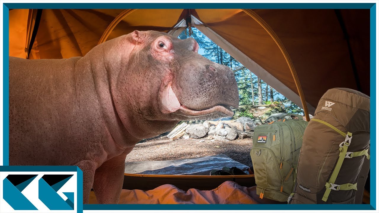 HIPPO DEFENSE SURVIVAL!!!!!!!!