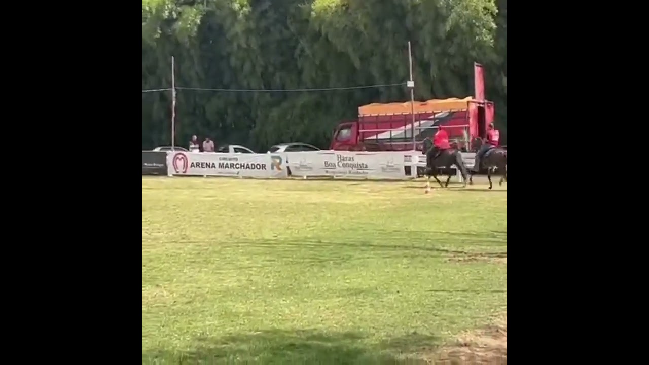 Estanho do ninho da marcha