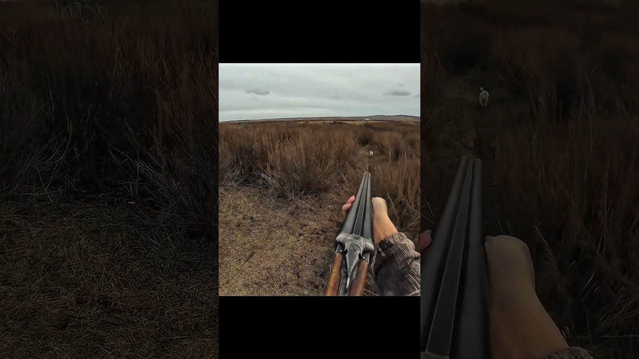 Ultimate Rabbit Hunting Compilation | Best Action Moments #hunting #chass #wildhunting #challange