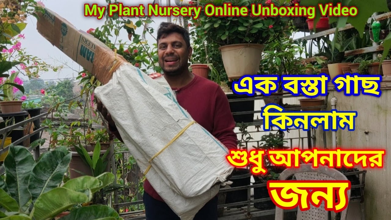 Online এ গাছ কিনলাম শুধু আপনাদের জন্য🌱এক বস্তা গাছ🌴good quality plant & online service available/
