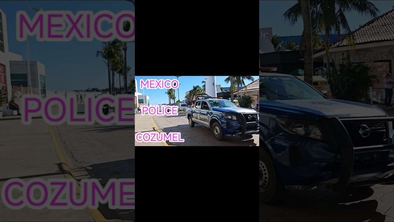 Mexico 2026 POLICE gangsta paradise Island Cozumel #shorts #mexico #mexicanmafia #cozumel #news