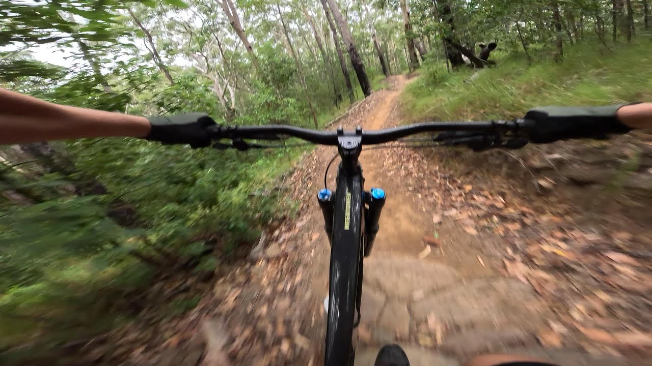 Trailblazer | The BEST MTB Trail in Queensland?