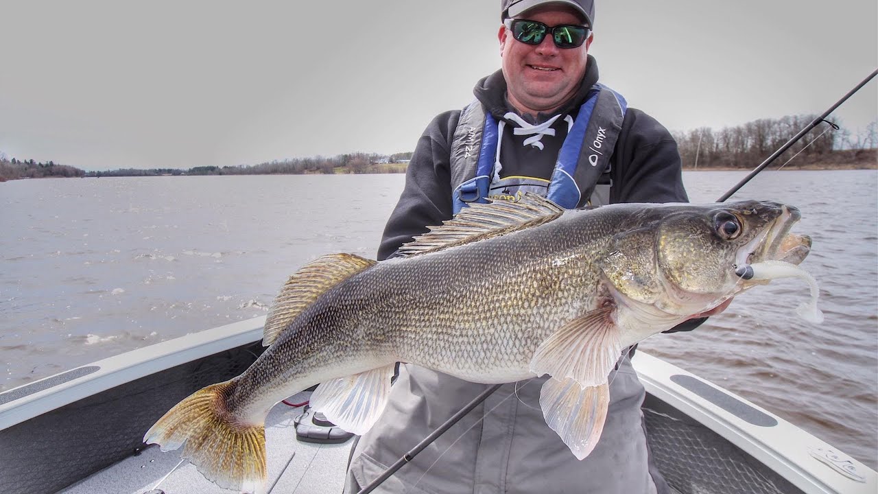 Secret Tactics to Catch More Walleye This Spring | River Fishing Soft Plastics