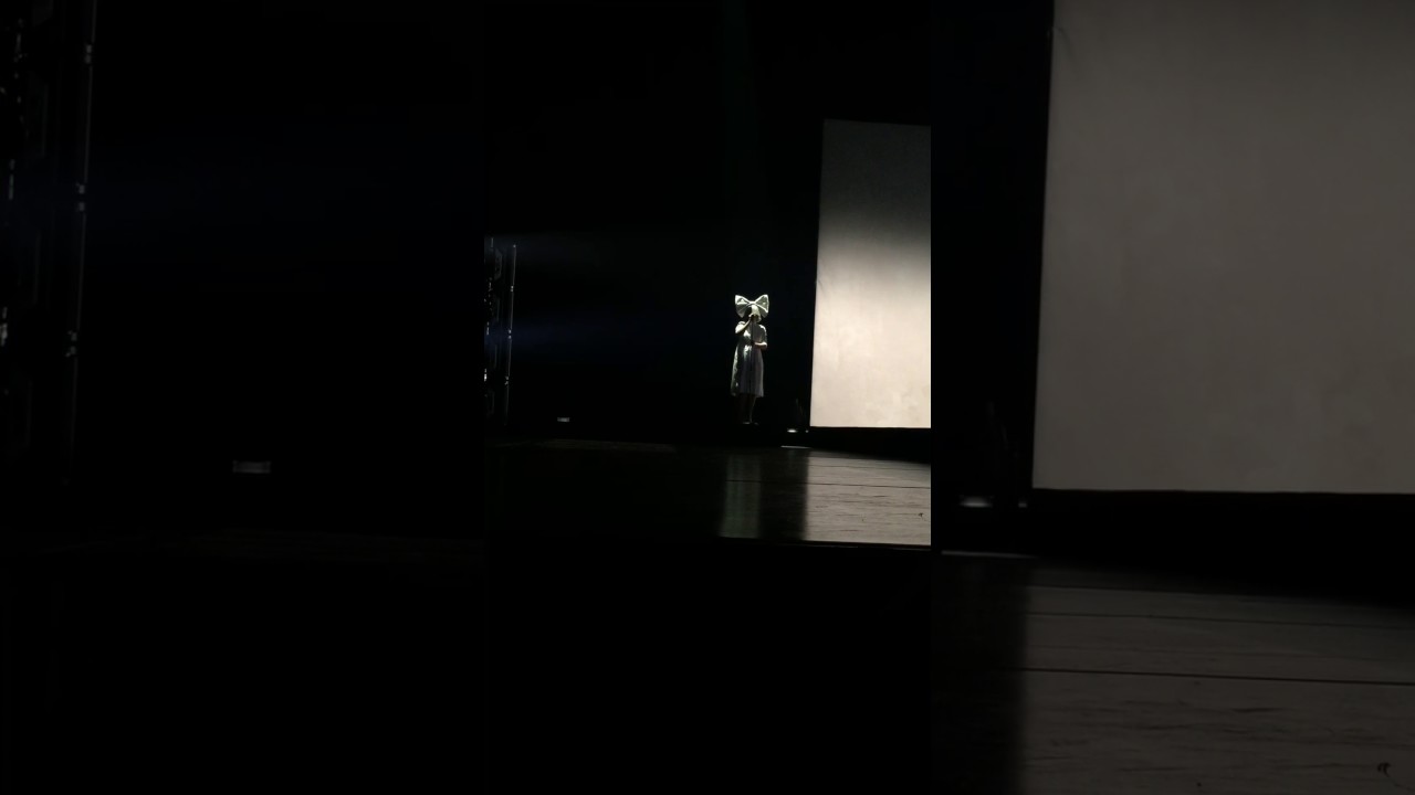 Titanium Sia live in Orlando