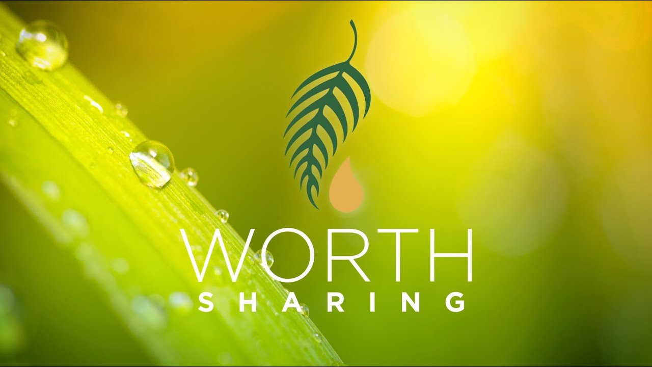 The Leaf and Drop | A Symbol of Wellness Powered by Nature