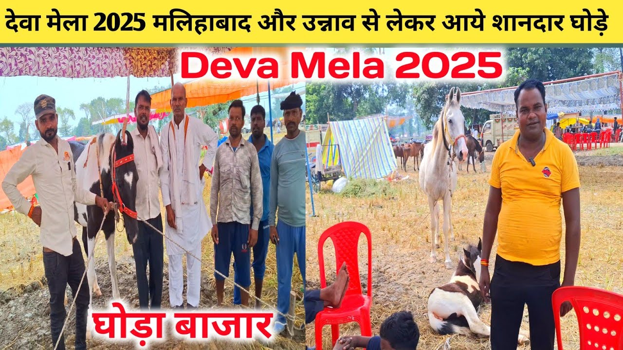 देवा मेला 2025 मलिहाबाद और उन्नाव से लेकर आये शानदार घोड़े 🐎💥 |ghoda bazar Deva mela |Dewa mela 2025