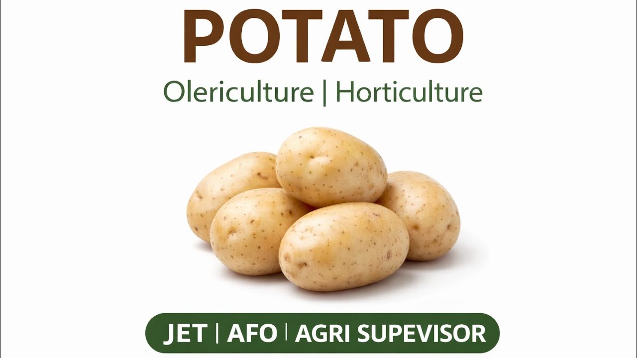 Potato | Horticulture Crop | JET | Agriculture Supervisor | AFO | Competitive Exams