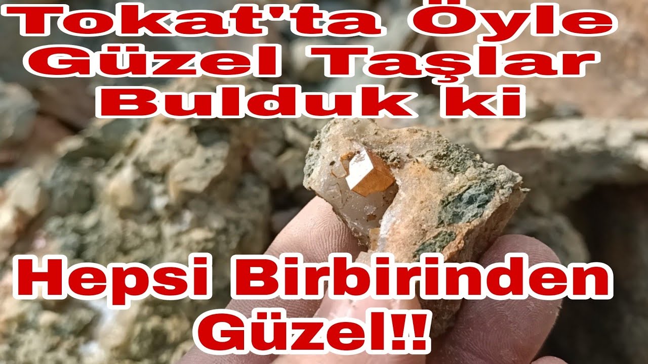 Beşi Bir Yerde!!!