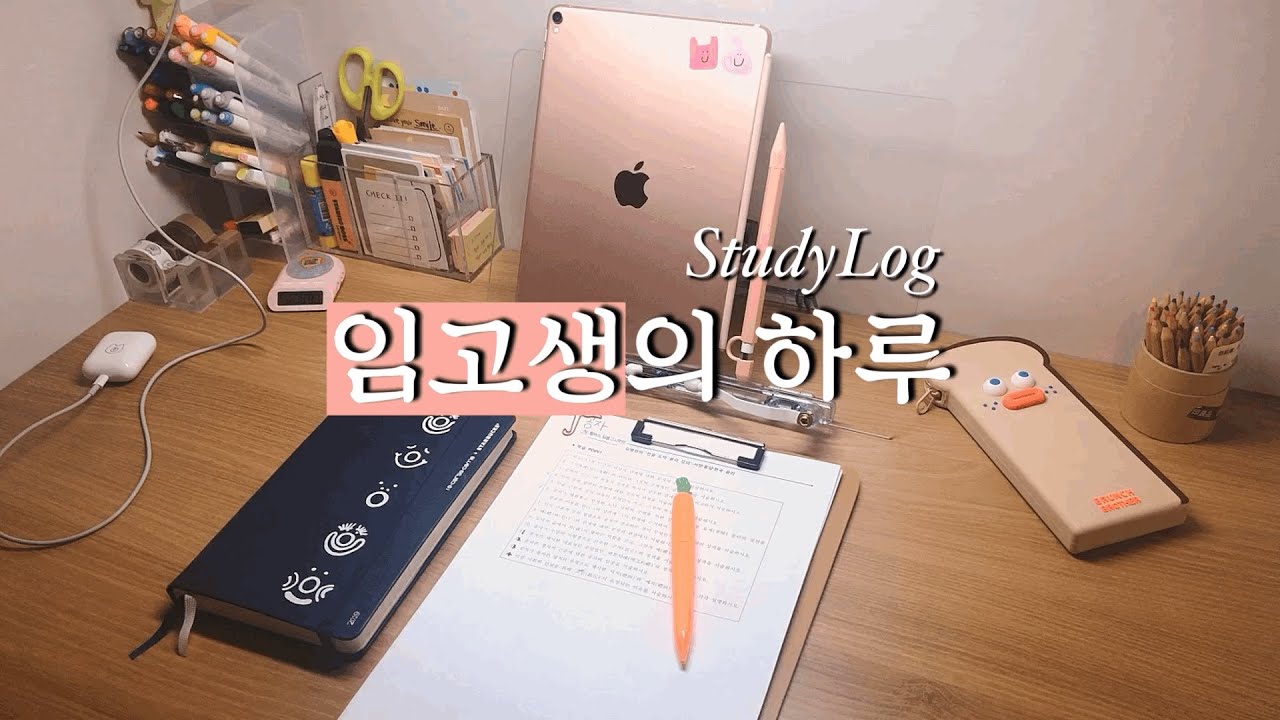 임고생 브이로그🎬ㅣ독서실 책상 소개💚ㅣ병든 닭이 되어 버린 임고생의 이틀🤒ㅣStudy Vlog