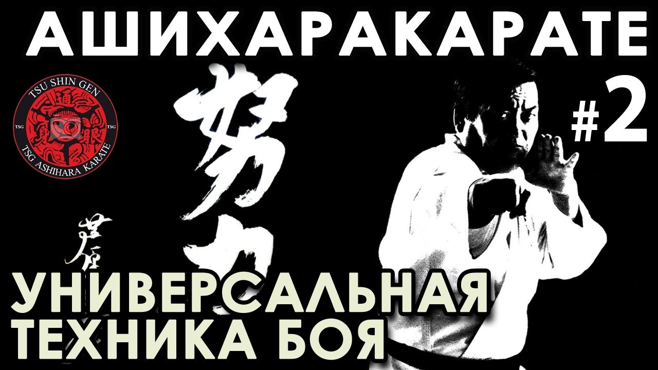 АШИХАРА КАРАТЕ – Универсальная техника БОЯ (продолжение).